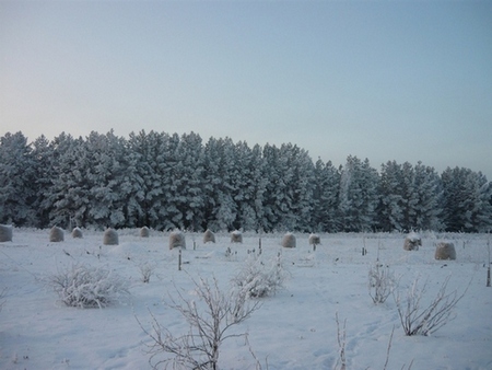 Солнечное зима