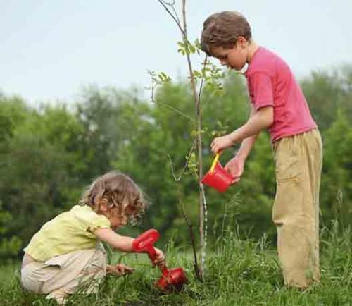 tree_in_the_hand_1.jpg